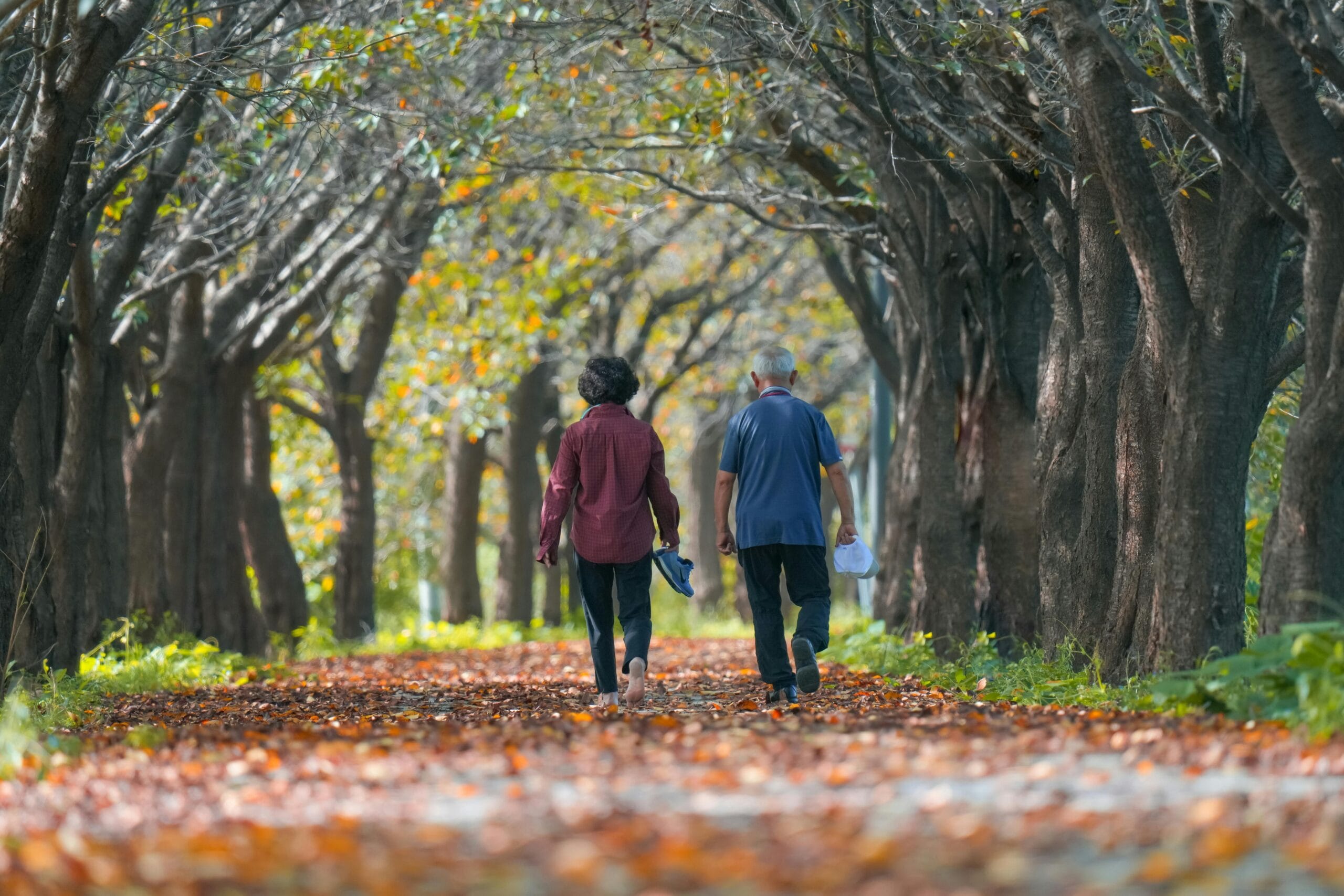 hombre y señora adulta mayor caminando por un camino en plena naturaleza