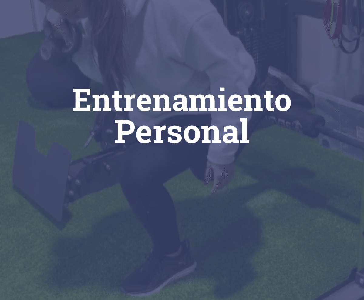 Entrenamiento Personal