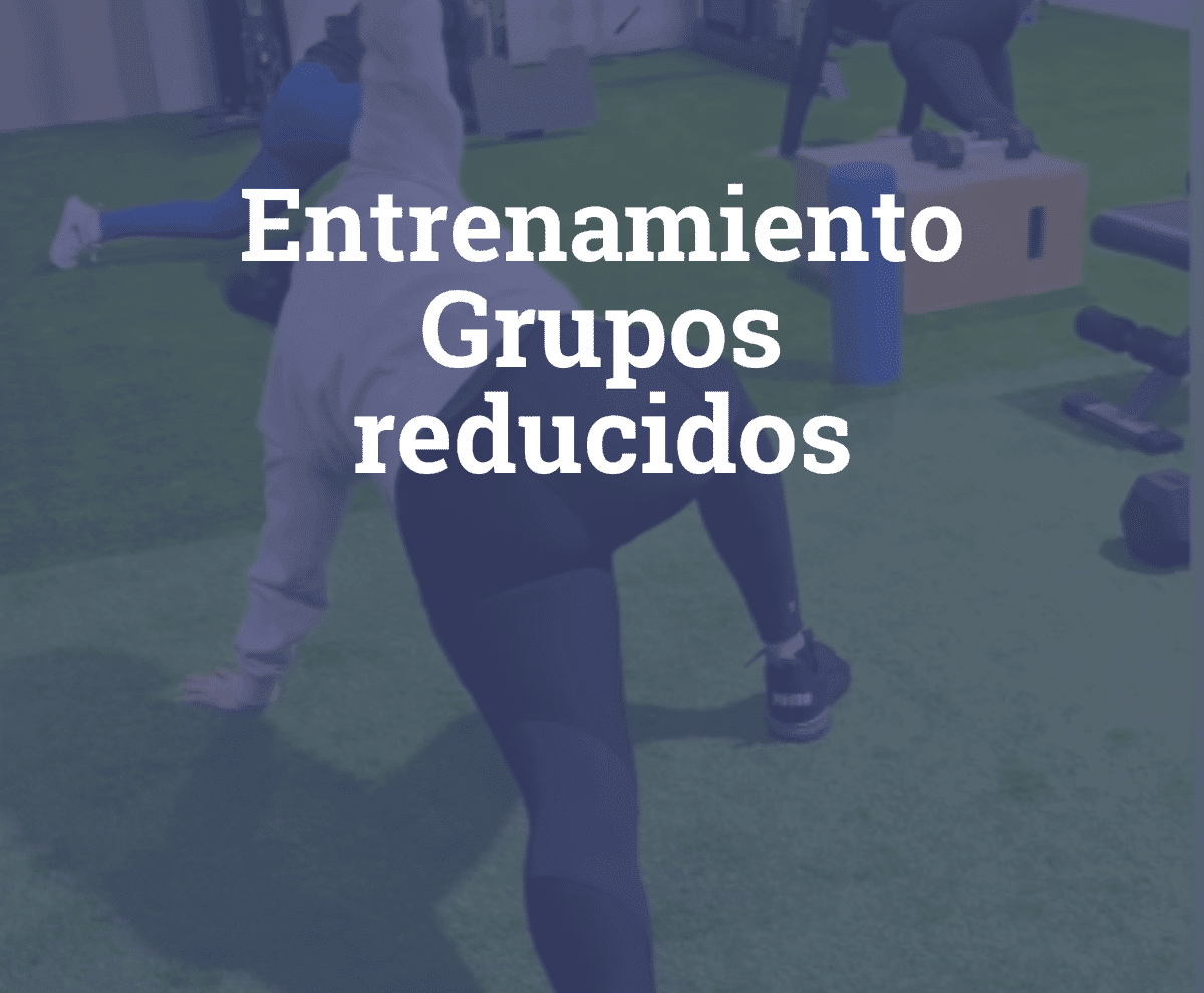 Entrenamiento grupos reducidos